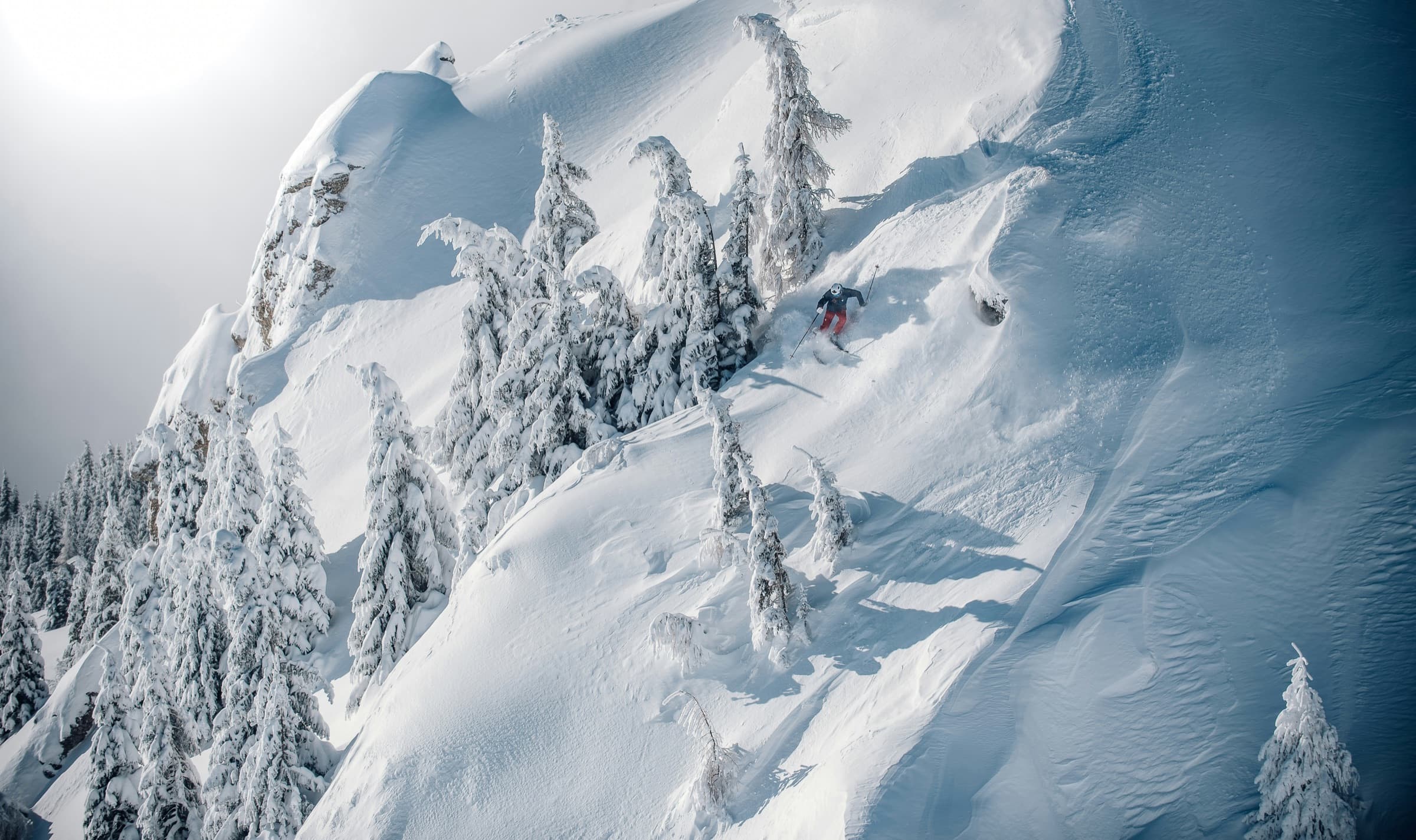 A skier dropping through powder between snow-loaded pines on a steep face